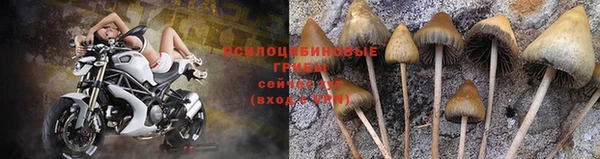 первитин Нея