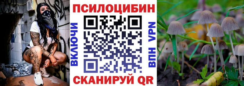 Псилоцибиновые грибы Cubensis  MEGA онион  Новотроицк 
