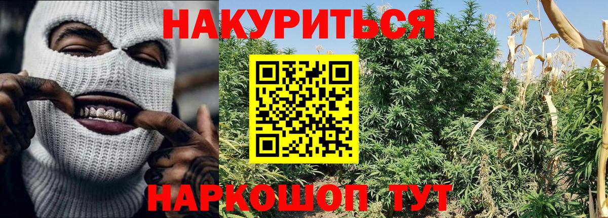 Марихуана LSD WEED  Вход с VPN  Марихуана семена  Новотроицк  Конопля Bruce Banner 